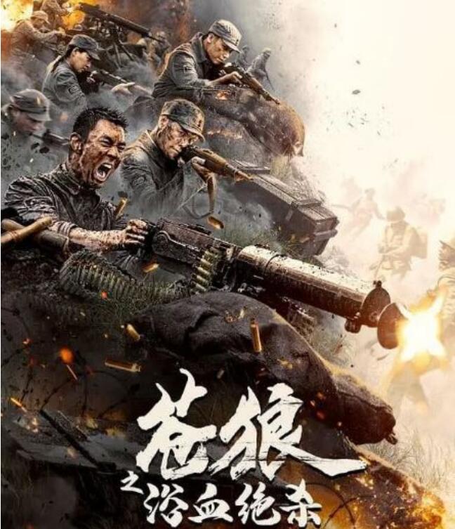 2024年国产战争片《苍狼之浴血绝杀》HD国语中字