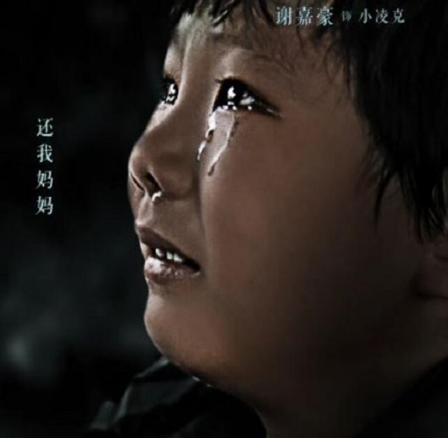 《逆境追凶》
