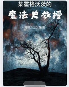 某霍格沃茨的魔法史教授