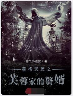 霍格沃茨之芙蓉家的赘婿