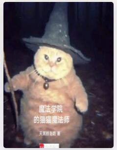 魔法学院的猫猫魔法师