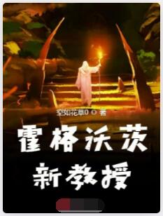 霍格沃茨新教授
