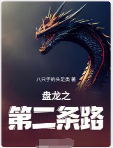 盘龙之第二条路