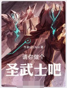 请你做个圣武士吧