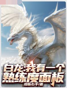 白龙：我有一个熟练度面板
