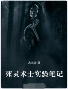 死灵术士实验笔记