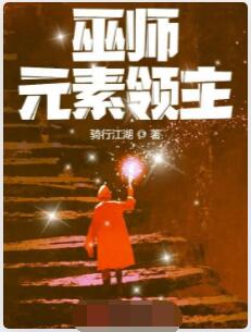巫师：元素领主