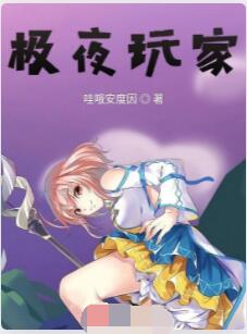 极夜玩家