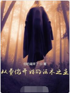 从费伦开始的法术之主