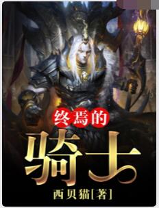 终焉的骑士