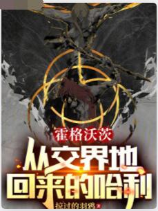 霍格沃茨：从交界地回来的哈利