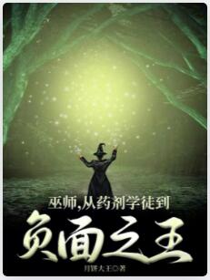 巫师：从药剂学徒到负面之王