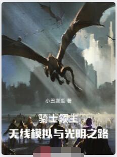 骑士领主：无限模拟与光明之路