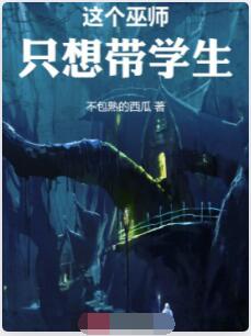这个巫师只想带学生