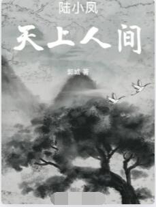 陆小凤：天上人间