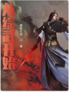从综武开始