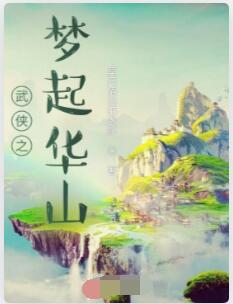 武侠之梦起华山