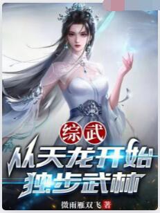 综武：从天龙开始独步武林
