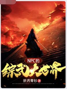 NPC的综武大世界