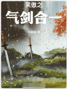 笑傲之气剑合一