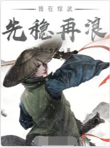 我在综武先稳再浪