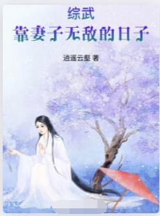综武：靠妻子无敌的日子