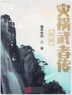 纵横灾祸武者传