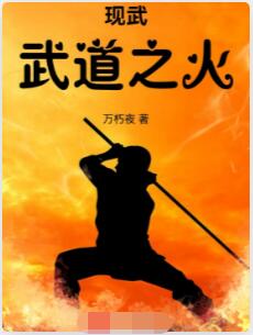 现武：武道之火