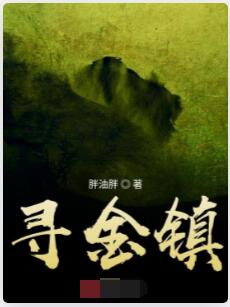 寻金镇