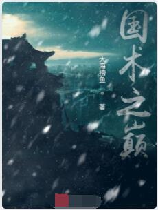 国术之巅