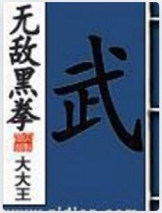 无敌黑拳