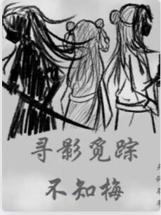 寻影觅踪不知梅