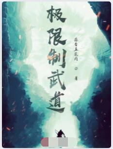 极限制武道