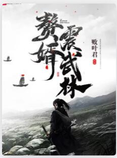 赘婿震武林