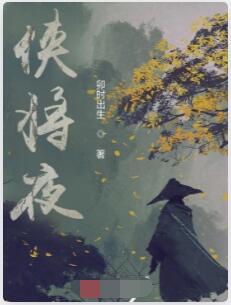 侠将夜