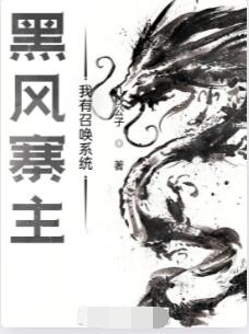 黑风寨主：我有召唤系统