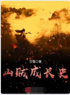 山贼成长史