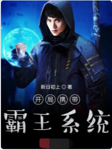 开局携带霸王系统