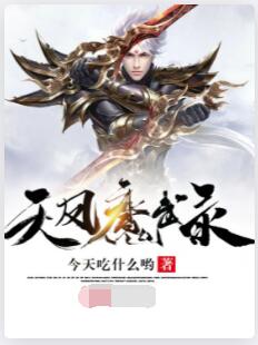 天凤魔武录
