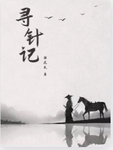 寻针记