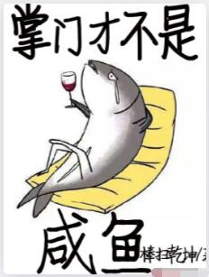 掌门才不是咸鱼