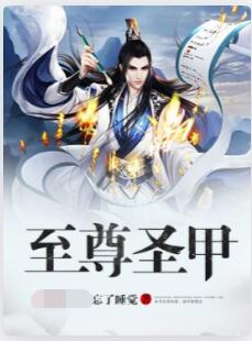 至尊圣甲