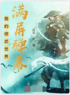 我的综武世界满屏弹幕