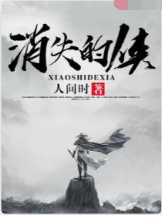 消失的侠