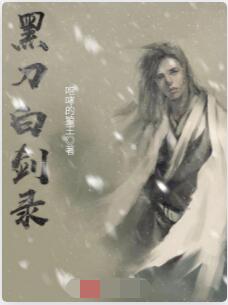 黑刀白剑录