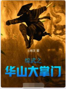综武之华山大掌门