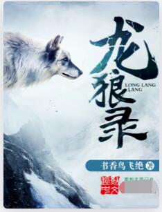 龙狼录