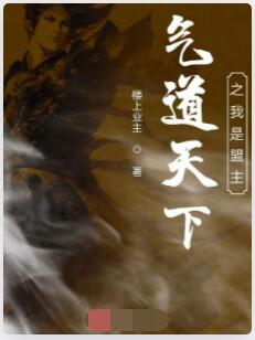 气道天下之我是盟主