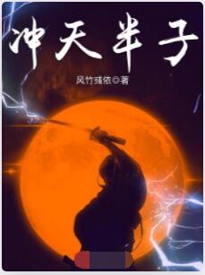 冲天半子