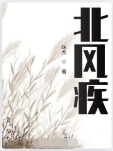 北风疾